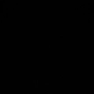 Meet your Posher, Gabe